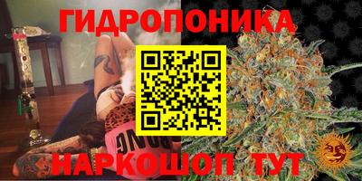 твердый Берёзовский