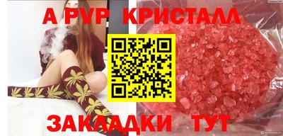 твердый Берёзовский